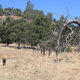 Illustration for article titled Toby Hike Day: Wellbarn Road to San Joaquin River Trail